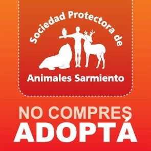 Promoviendo el bienestar y tratamiento ético animal desde 1902. http://t.co/nKxR7GKFC9