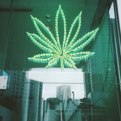 benh42069's profile picture. 38 year old straight male who loves weed,and has mental health issues (i'm NOT retarded)i also love my family and friends,and having a good time.