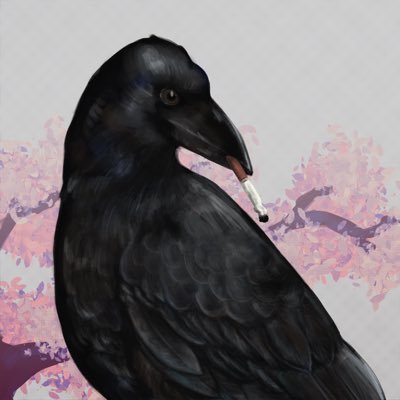 alex salamnderさんのプロフィール画像