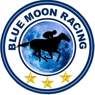 Blue Moon Racing run a horse racing syndicate for the 2022 flat season featuring the racehorse called WE'RENOTREALLYHERE. #mancity #mcfc
