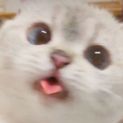 Ur_mum_buthappy's profile picture. 