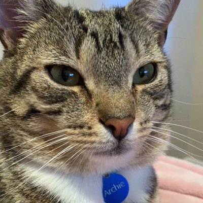 smeister62's profile picture. 