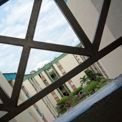 deibyayala4's profile picture. Hay que vivir