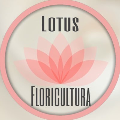 A melhor floricultura da fundação que você pode encontrar!