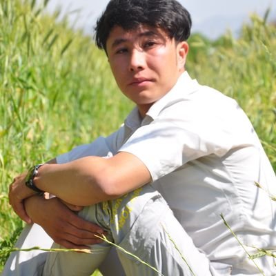 I am Ali Ayan son of Qurban Ali. I am from Ghor province.
I was born in Lal and Sar-e- Jungle district. Now I am a student at Kabul university.