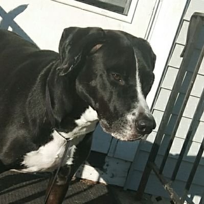 Asnet_'s profile picture. I need a yt editor