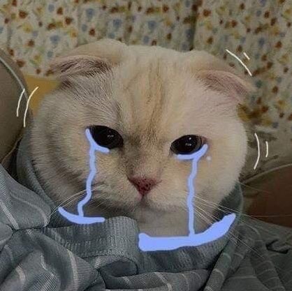 learntorespect_'s profile picture. 