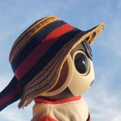 こえびです☺️
いとこのうにくん（プラ）と一緒です‼️
もずくはぼくの弟だよ🎵