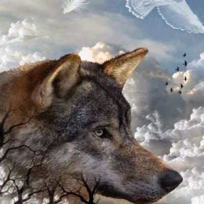 WilliamMcelhose's profile picture. Be honest.  don’t ask me for money or cards, I will block you. looking for someone real and independent.