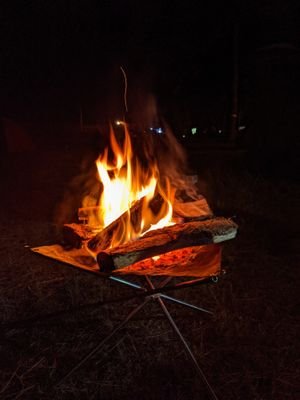 gomasa51099's profile picture. 