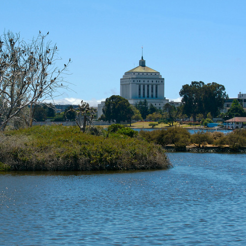 AlamedaCnty's profile picture. 