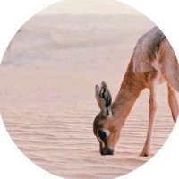 م. رِيمْ (@_rrmma) Twitter profile photo
