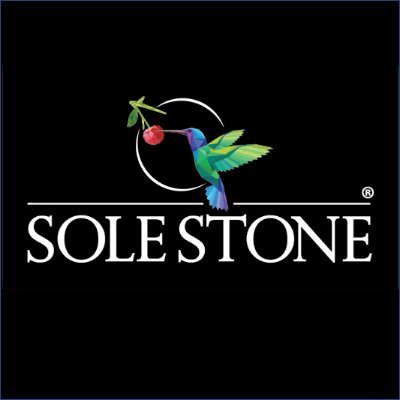 thesolestone Profile Picture