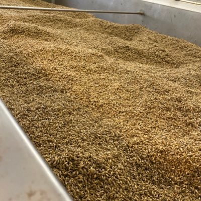 CCFB IS A RESOURCE FOR TESTING AND EDUCATION THAT SUPPORTS SMALL AND MID-SIZED BREWERIES, MALTHOUSES, FARMS, AND OTHER CRAFT FOOD AND BEVERAGE PRODUCERS.