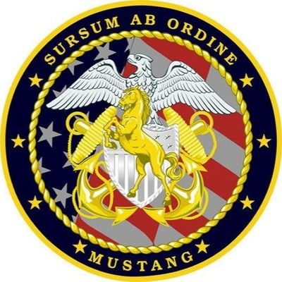 Mustang Submariner CPO/LCDR 40+ years. 13 Enlisted/13 Officer/19 Gov't. Model for the Lone Sailor & Liberty Hound statues. Safari enthusiast. #LoneSailor