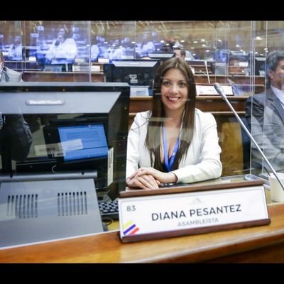 Ex-Asambleísta por Azuay 🇪🇨
2021-2023
 ❤️💛