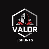 Valor Esports (@teamvalor_gg) 's Twitter Profile