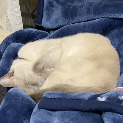 ラグナロクやってたアラフォーおっちゃん。引退しました。
写真の子はピース14歳。かわいすぎて悶え死ぬ。
グラブルとかゲームとかアニメとか食い物とか甘い物とかつぶやきます。色んな事に好奇心で挑戦!
