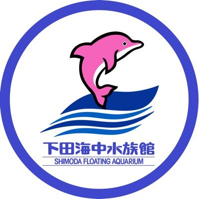 下田海中水族館 on X: 