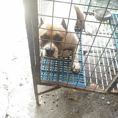 ArthurCanete1's profile picture. 