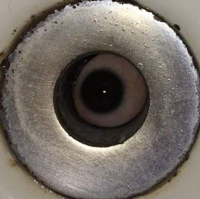 Daviid_Hdz_Mtz's profile picture. 