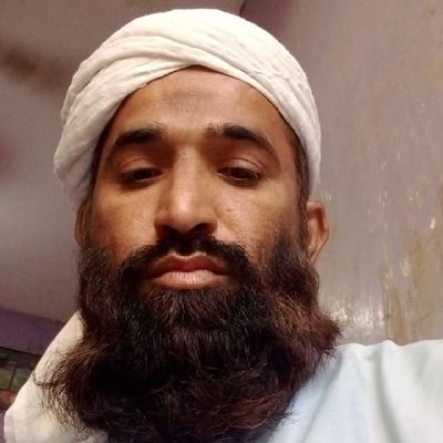 AliApptech's profile picture. Lion