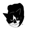 missbitchbootsy's profile picture. a 6 yr old bitch who will always love my brother gus🌈 brothers @basilandaioli
