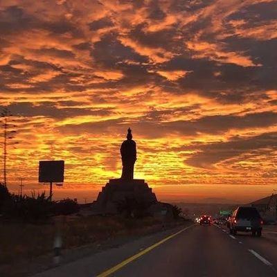 Carolainn_VN's profile picture. Michoacana. #muerala4T