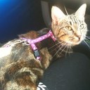 daisy dutton - @daisydutton2 - Twitter