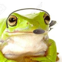 Ribbiton (@ribbiton1) 's Twitter Profile