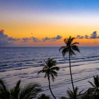 Alice (@alice_aliceaa2) 's Twitter Profile