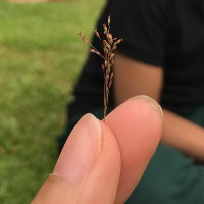 ISaudHM's profile picture. 