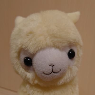 reiji_kame's profile picture. ようやく散歩を再開。
かと思いきや２０年夢見たカプエス２に夢中で、更新は少なくなりそうな予感。
無言フォロー歓迎、DMも少なめでお願いします。