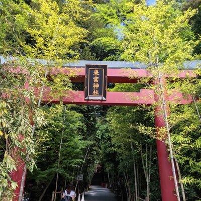 地面すれすれ飛行さんのプロフィール画像