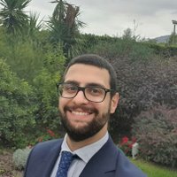 Alessandro Saggese 🇮🇹🇪🇺🌳🆓 (@asaggese_) 's Twitter Profile
