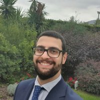 Alessandro Saggese 🇮🇹🇪🇺🌳🆓(@asaggese_) 's Twitter Profile Photo