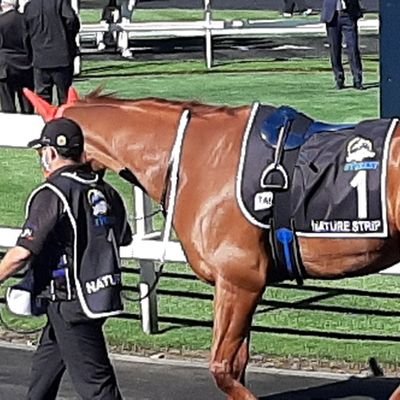 Just hangin' over the rail
Horse behavioral expert.
N.S.W Mounting Yard judge for @RacingCentralAU