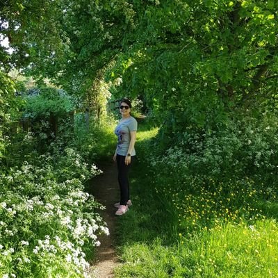 Sudi_Bolourian's profile picture. 