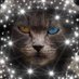 Corey Bradley (@coreybr27034781) Twitter profile photo Corey Bradley (@coreybr27034781) Twitter profile photo