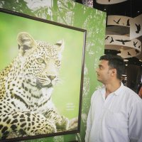 Nandan Singh🇮🇳🇮🇳 (@nandanneev) 's Twitter Profile