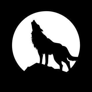 serafiaadams's profile picture. 