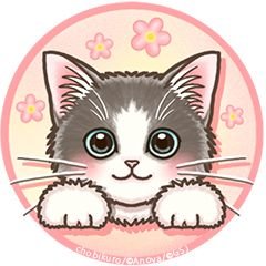 mayumiさんのプロフィール画像