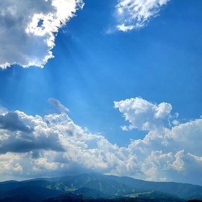 舞さんのプロフィール画像