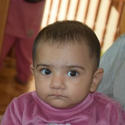 nasirkh61779049's profile picture. Nasir Ahmad Khan