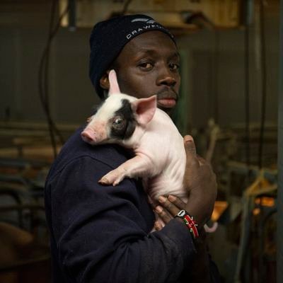 kenyanpigfarmer Profile Picture