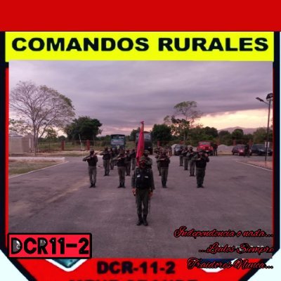 Dcr11-2