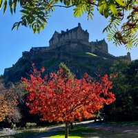 Edinburgh Spotlight(@edinspotlight) 's Twitter Profileg