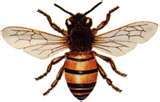 IncuHive Profile