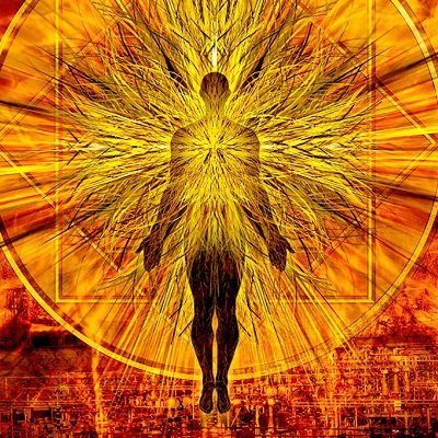 dawoo135's profile picture. 