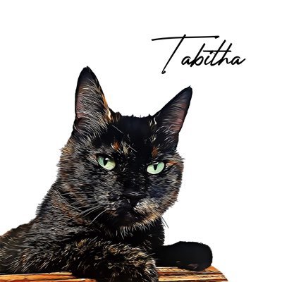 Ex con, slightly mental, was banged up with the RSPCA for a year. Now living the dream with my staff. Tortitude is real !
I am THE cat, not a cat